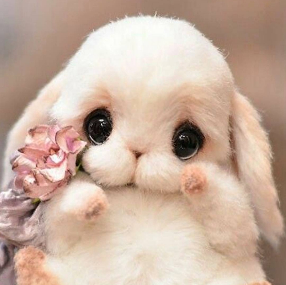 Meet your Posher, Connie